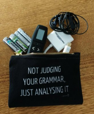 NOT JUDGING YOUR GRAMMAR, JUST ANALYSING IT zip pouch in small